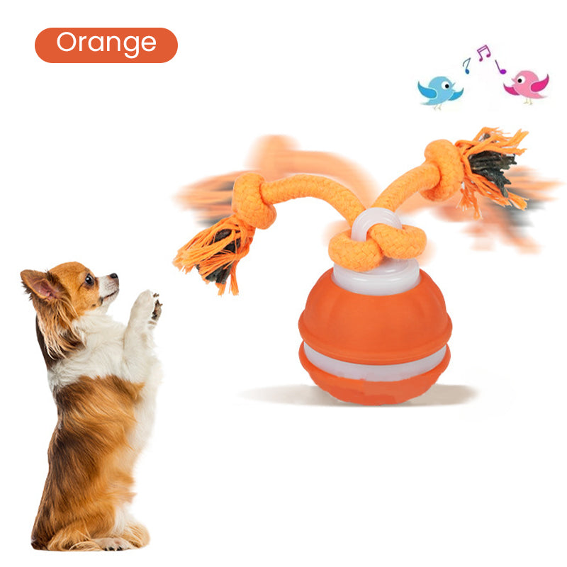 PlaySphere™ — Captivate Your Cat with Nonstop, Thrilling Hunt-and-Play Fun